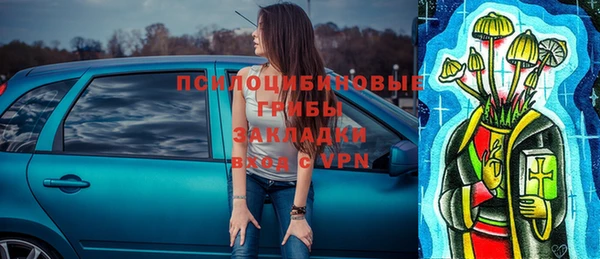 круглые Бородино