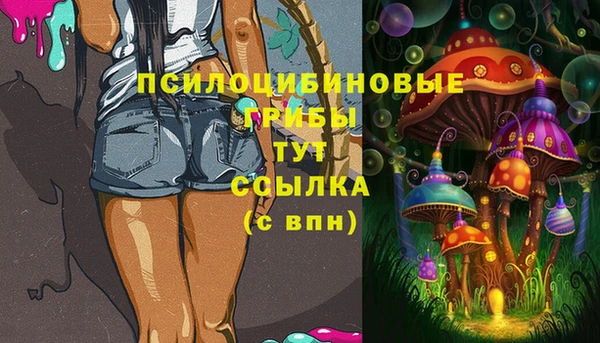 винт Бронницы