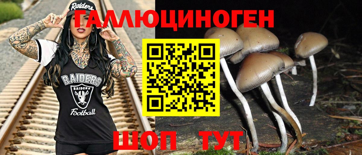 Галлюциногенные грибы мицелий  Гудермес 