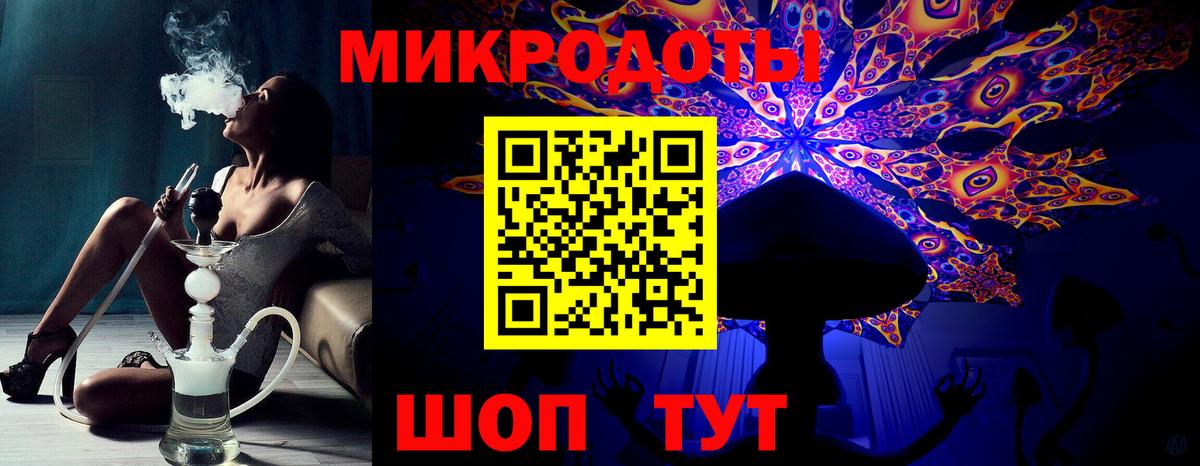 Галлюциногенные грибы Psilocybine cubensis Гудермес