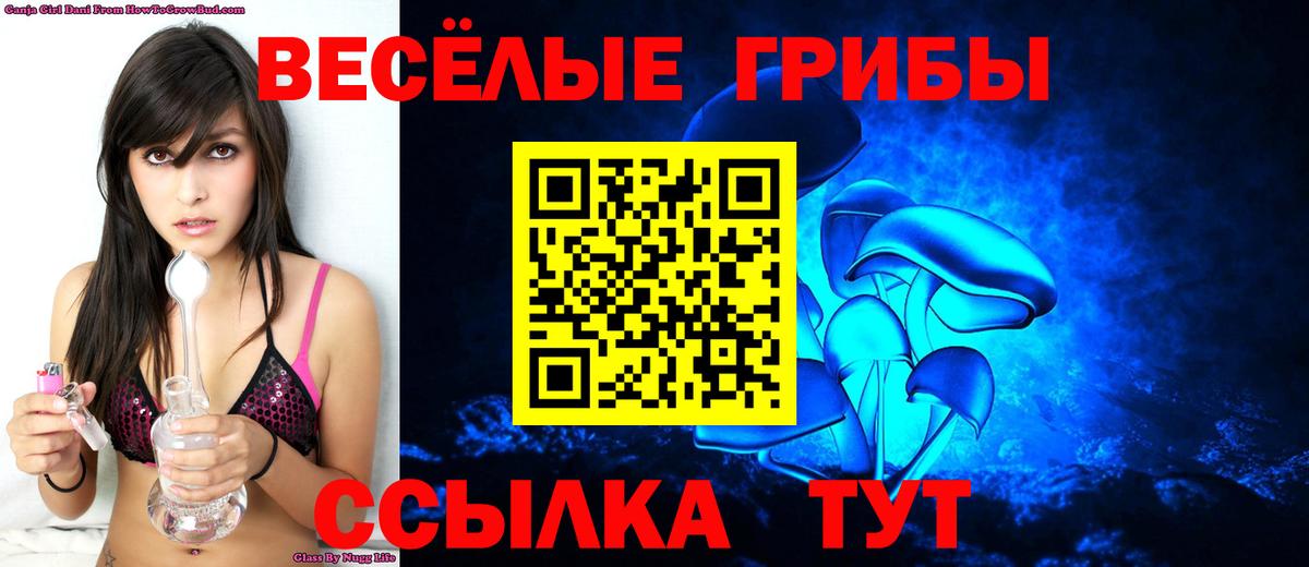Галлюциногенные грибы ЛСД Гудермес