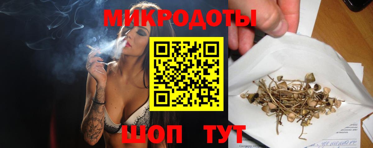 Галлюциногенные грибы MAGIC MUSHROOMS  Псилоцибиновые грибы MAGIC MUSHROOMS  Вход с VPN  Гудермес 