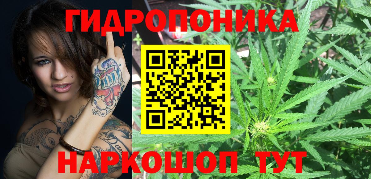 Бошки марихуана ГИДРОПОН  Каннабис Amnesia  Гудермес  Каннабис THC 21%  Вход с VPN 